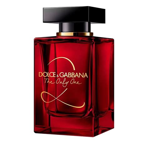 dolce gabbana the only